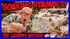 How To Soak U0026 Clean Postage Stamps For Beginners Remove Hinges Drying Book Tips