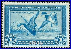Momen US Stamps #RW1 Duck Mint OG NH VF